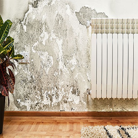 walia sale corporation